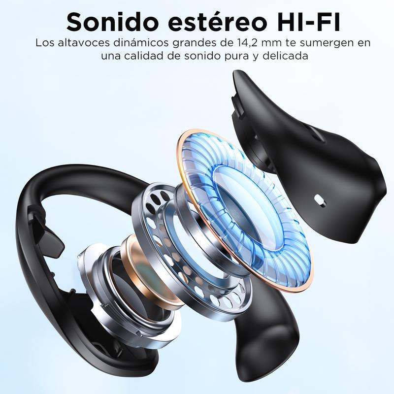 AURICTRADUCTOR