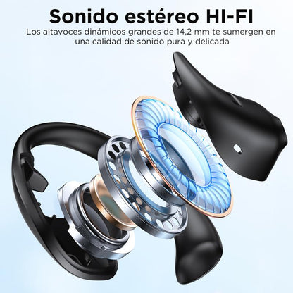 AURICTRADUCTOR