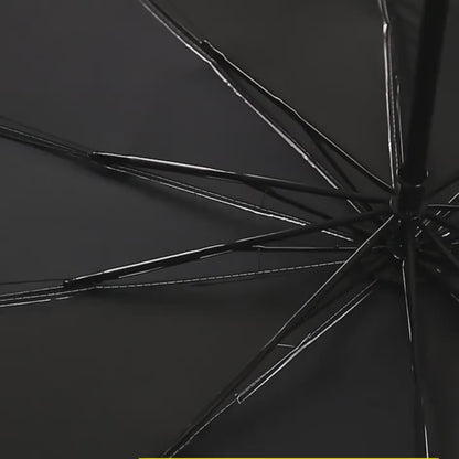 PARASOL COCHE